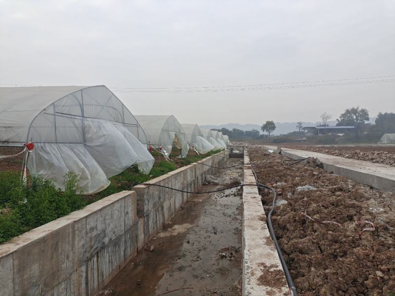 交通方便种植蔬菜土地出租