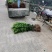 荔浦万兴生态农业，正宗沃柑地苗，叶面清秀，根须好