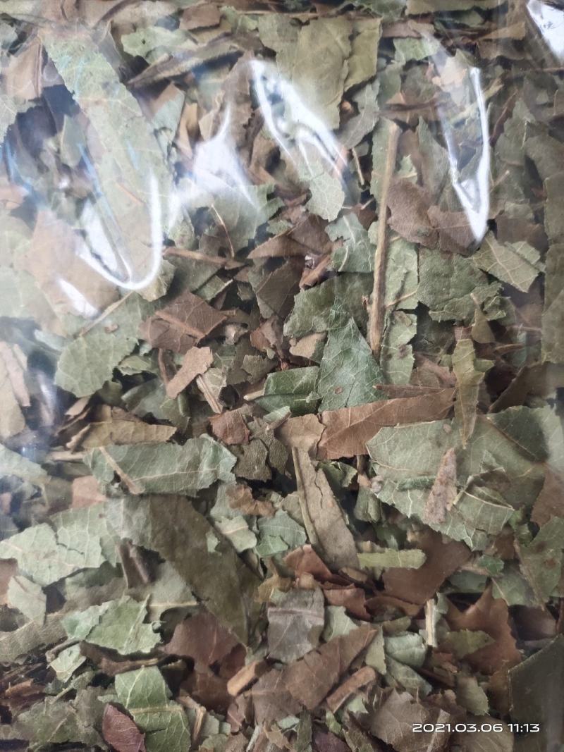 【文斌药业】枇杷叶干净无杂质地道药材