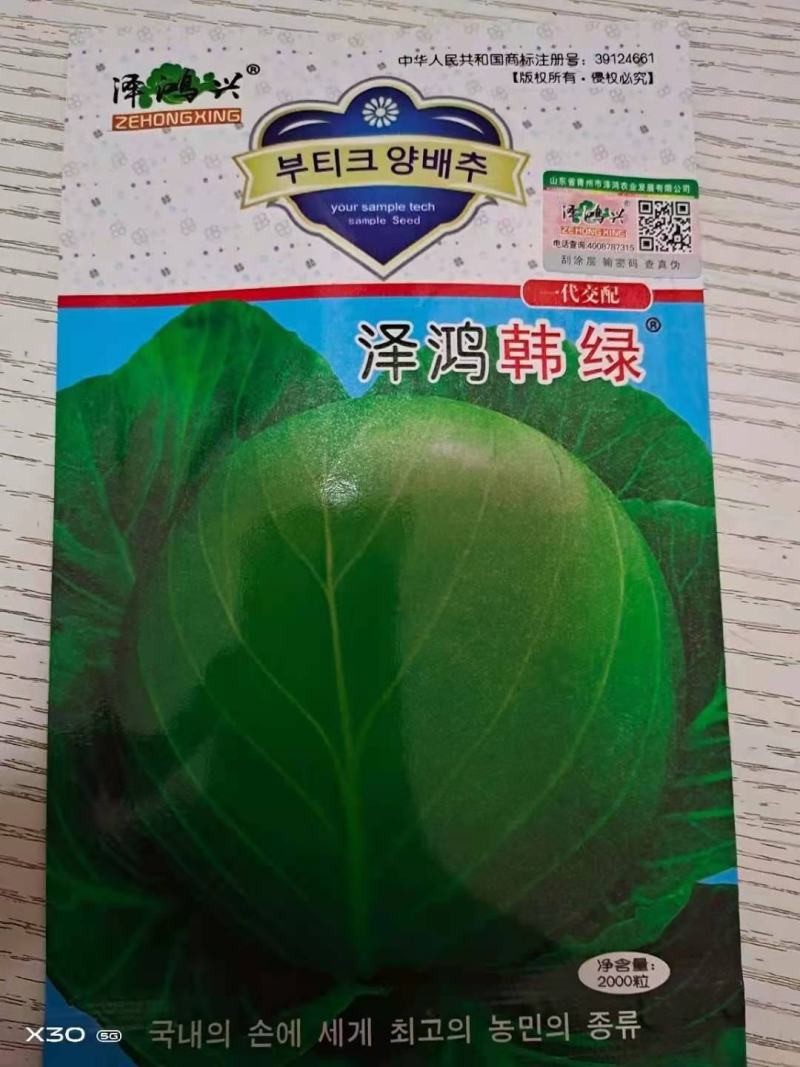 韩绿甘蓝种孑（松型黄心水果型甘蓝品种）全国包邮