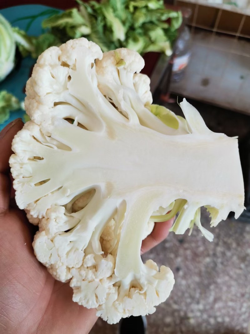 白菜花，紧花有机花，花重1_2斤