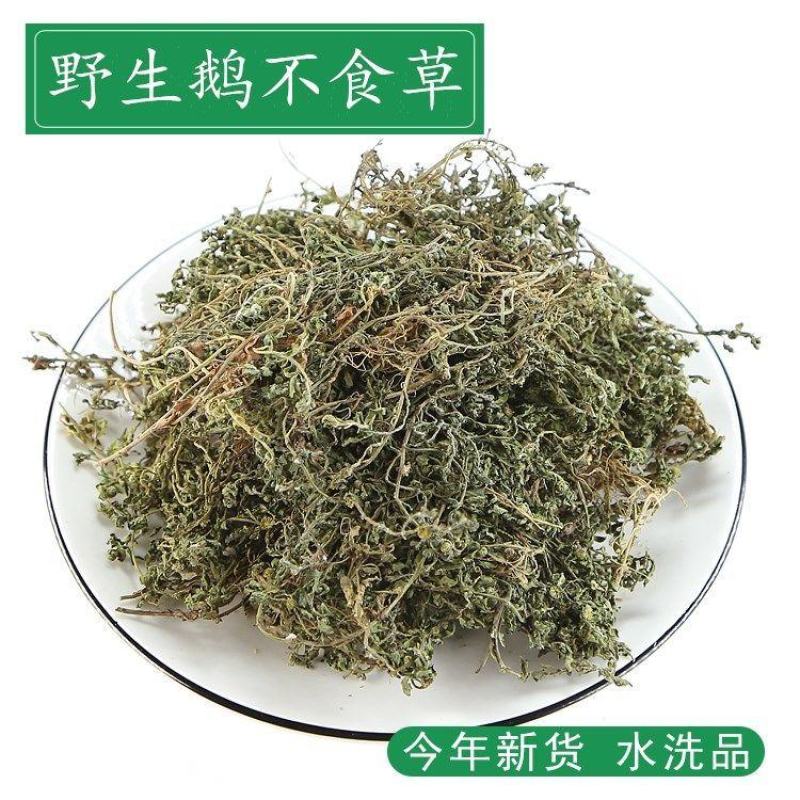 鹅不食草50克正品中药材鹅不食草野生新鲜干