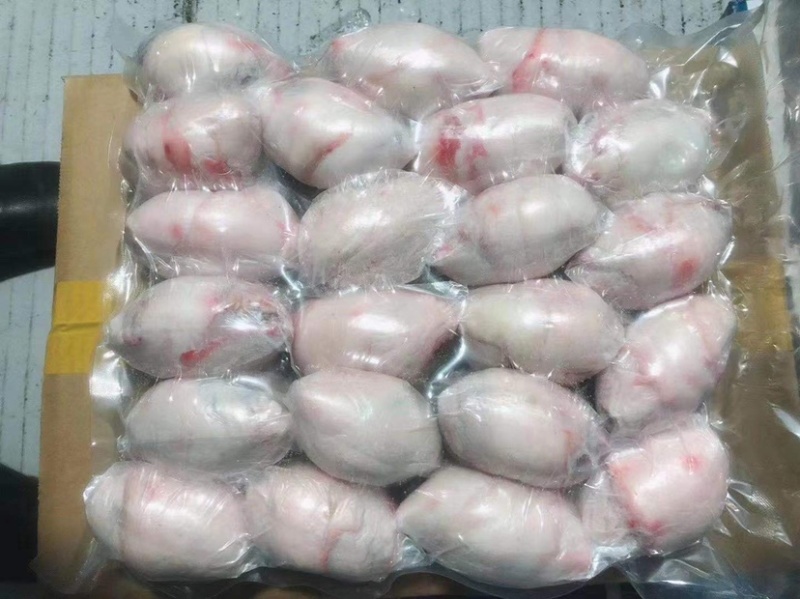 羊腰羊腰子纯干包油羊腰烧烤专用厂家一手货源