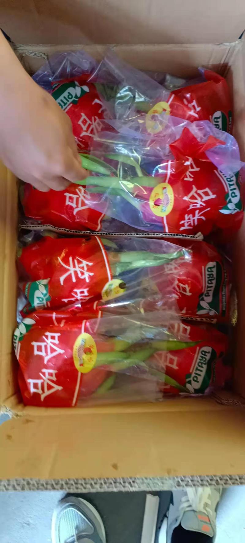 【精选】越南红白心火龙果，一手货源，质量保证，