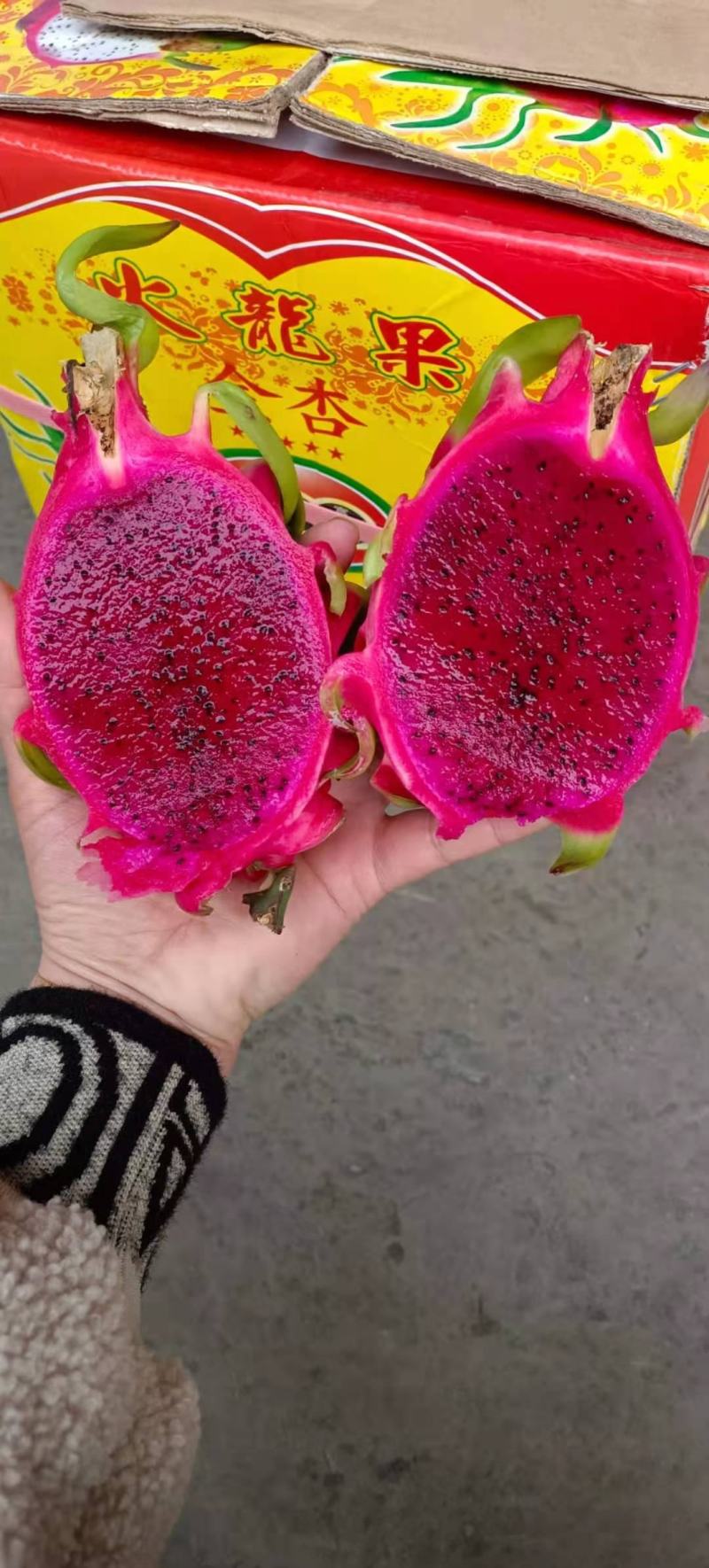 【精选】越南红白心火龙果，一手货源，质量保证，