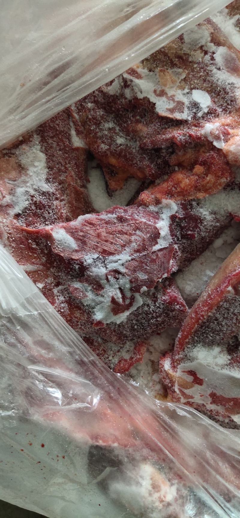 蒙古马肉新日期大量出货