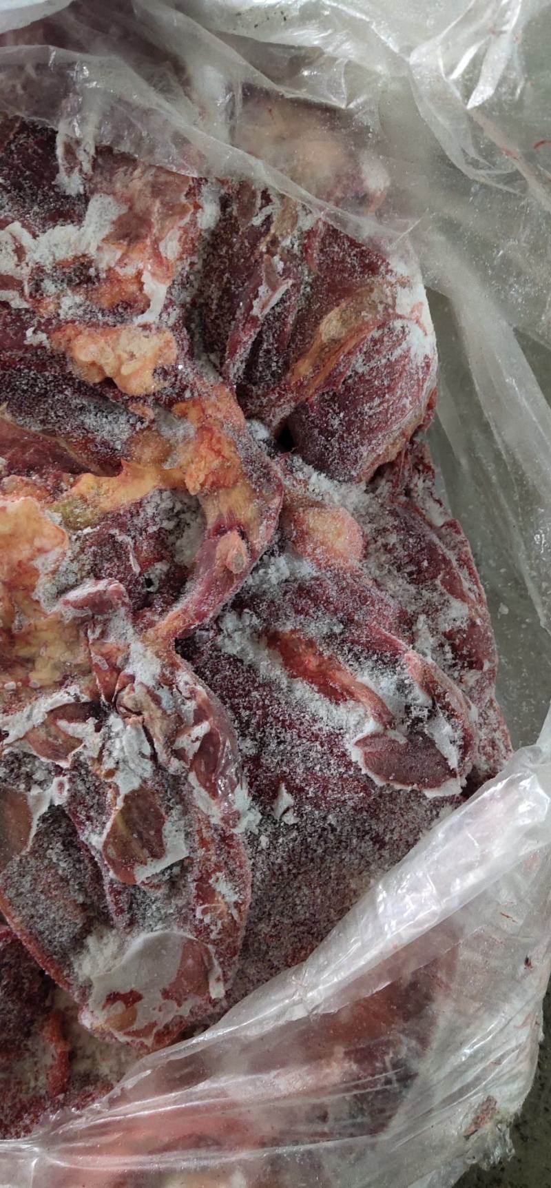 蒙古马肉新日期大量出货