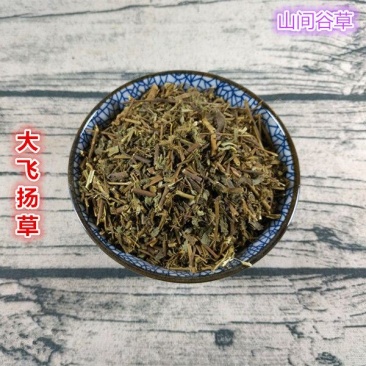 山间谷草飞扬草500g野生飞扬草大飞扬