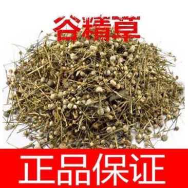 正品野生中药材谷精草250g500g1000g包邮鱼眼草