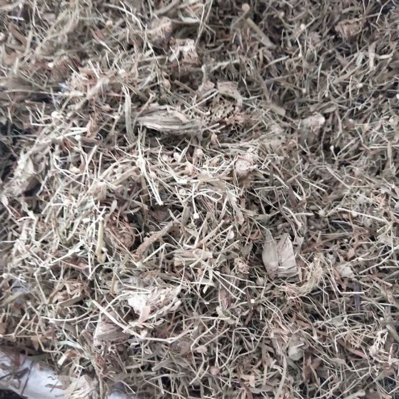 正品野生中药材谷精草250g500g1000g包邮鱼眼草