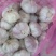 AAA级瓣瓣蒜，一件40斤，蒜瓣瓣大，颗粒饱满