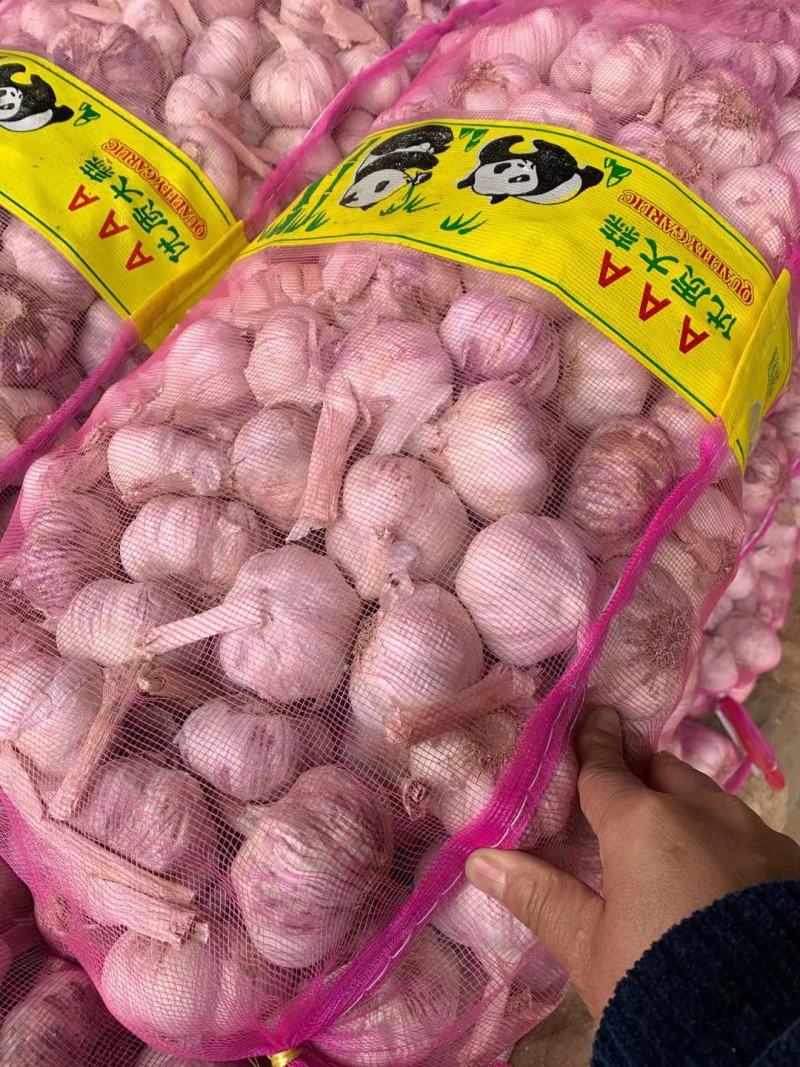 AAA级瓣瓣蒜，一件40斤，蒜瓣瓣大，颗粒饱满