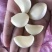 AAA级瓣瓣蒜，一件40斤，蒜瓣瓣大，颗粒饱满
