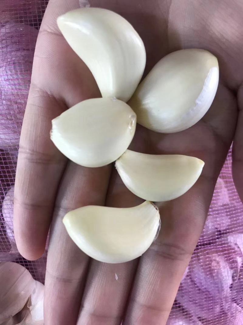 AAA级瓣瓣蒜，一件40斤，蒜瓣瓣大，颗粒饱满
