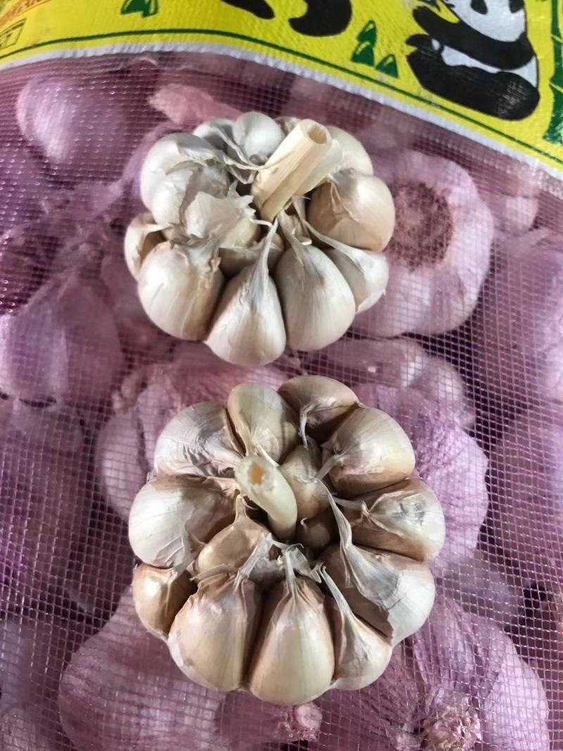 AAA级瓣瓣蒜，一件40斤，蒜瓣瓣大，颗粒饱满