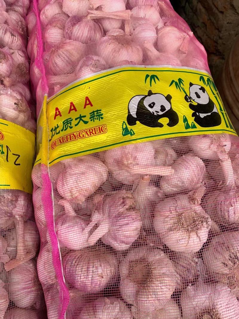 AAA级瓣瓣蒜，一件40斤，蒜瓣瓣大，颗粒饱满