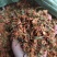 花草茶跑江湖地摊百花草益寿茶整件批发罗汉果花+茶