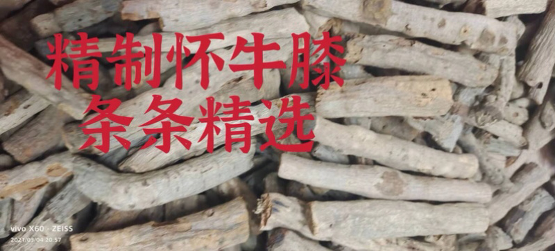 牛膝（怀）、精制、条条精选、大量批发、省内包邮
