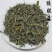 绞股蓝中药材七叶草绞股蓝七叶胆中草药绞股蓝全草欢迎