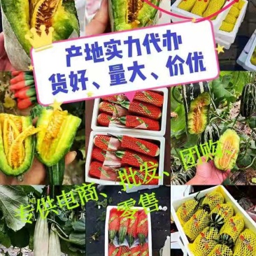 羊角蜜甜瓜山东羊角蜜甜瓜产地直发不收任何费用