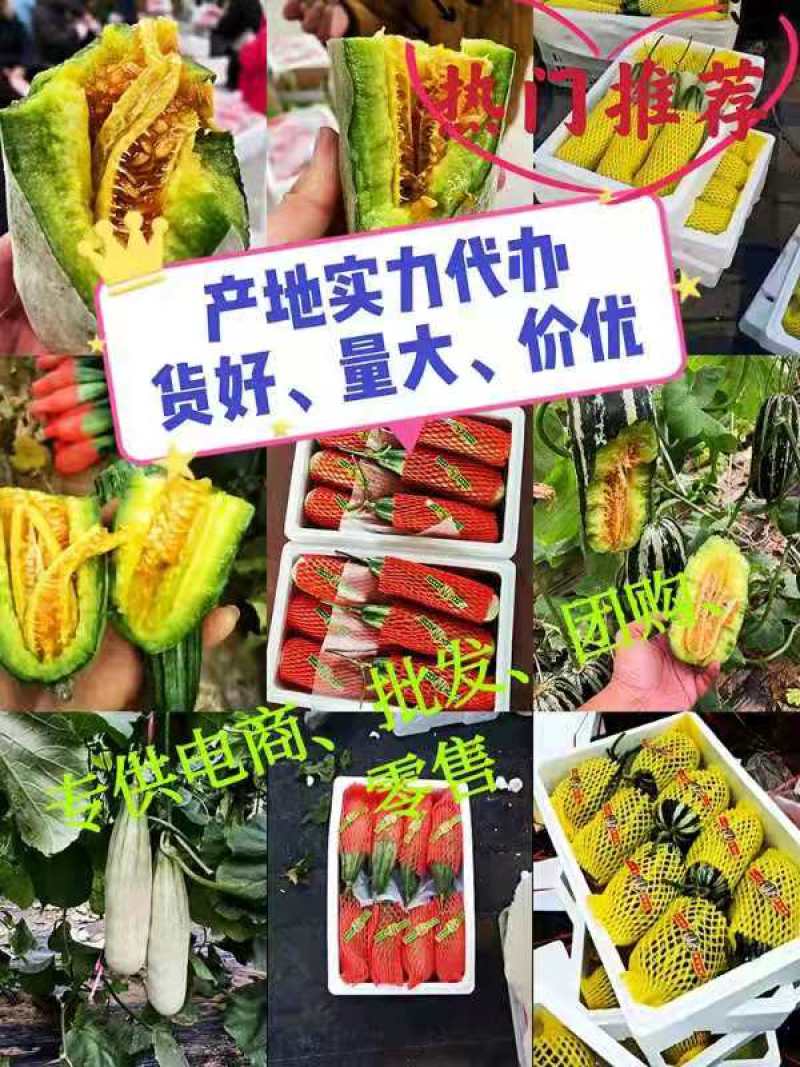 羊角蜜甜瓜山东羊角蜜甜瓜产地直发不收任何费用