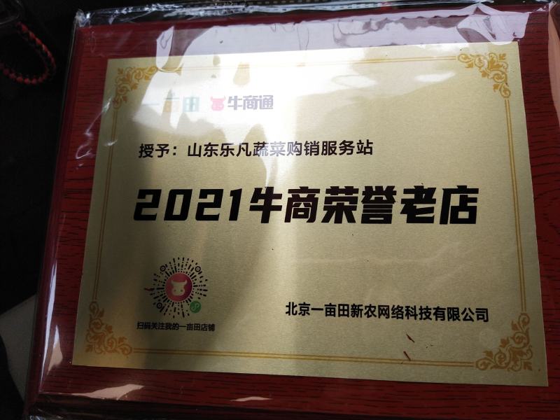 【精品】白菜北京三号精品扁包对头白菜产地直销质保价优