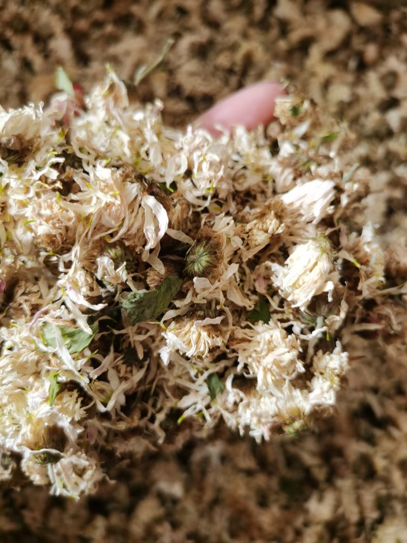 祁菊大货，无硫磺，颜色好，包检，需要的客户欢迎咨询问价。