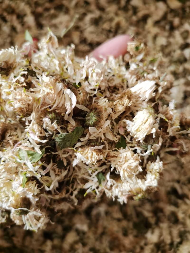 祁菊大货，无硫磺，颜色好，包检，需要的客户欢迎咨询问价。