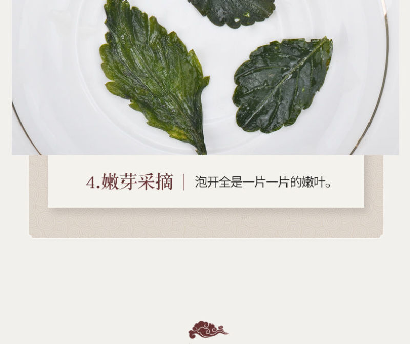 平利正宗绞股蓝七叶绞股蓝多规格选择非龙须绞胡蓝