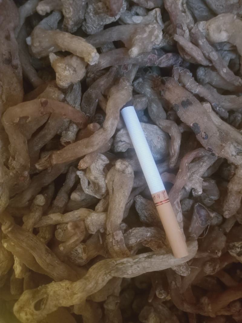 鸡头黄精，干品，种子，种苗！！！！！！！！！！！！！！！