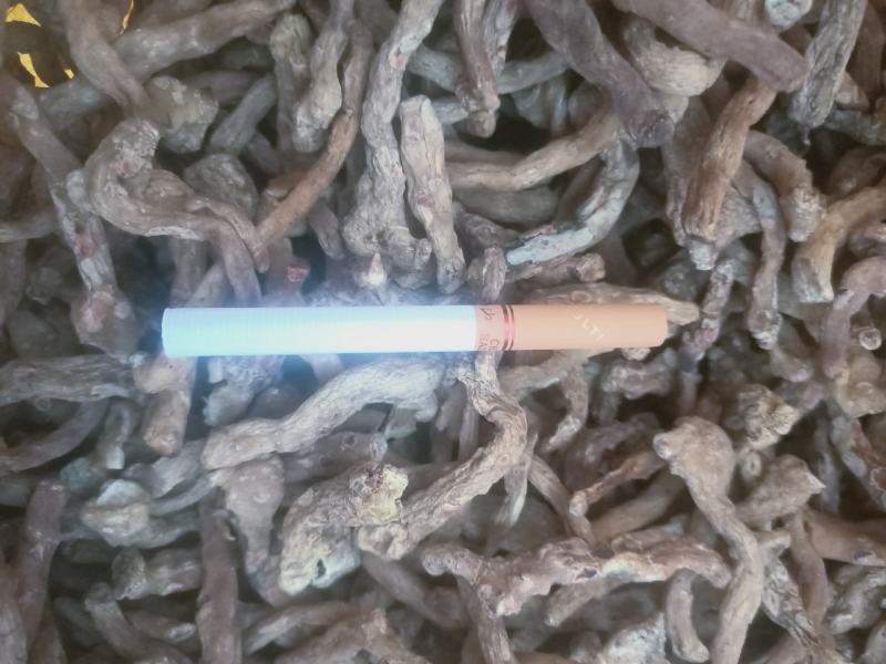 鸡头黄精，干品，种子，种苗！！！！！！！！！！！！！！！