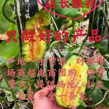 精品博洋9号甜瓜大量供应中产地直发，承接电商微商平台对接
