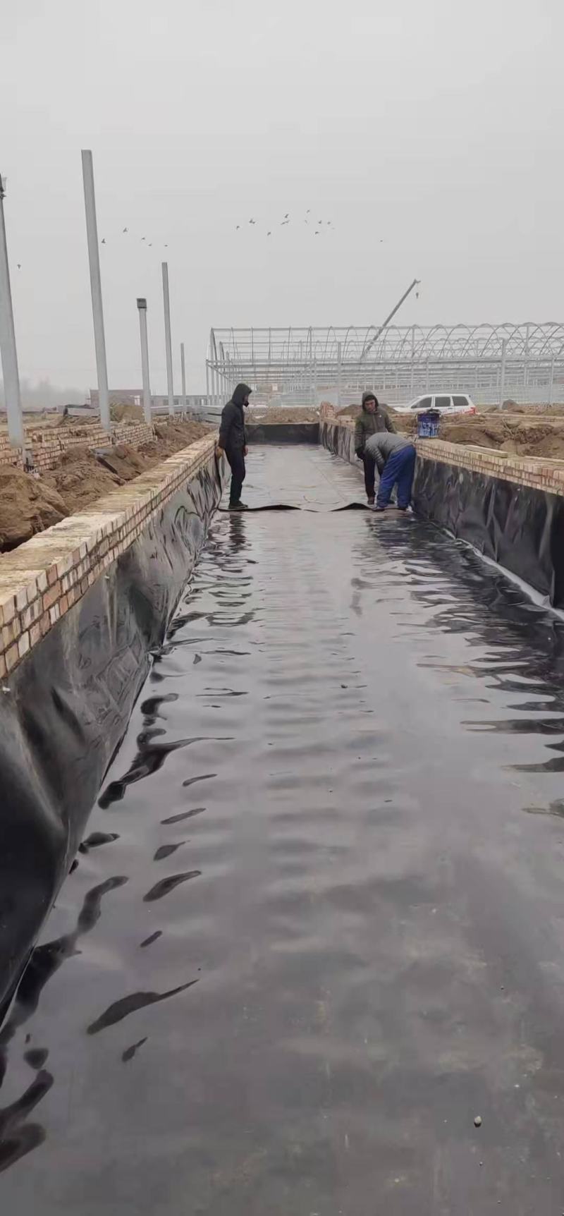 养殖场沼气池防渗膜，养猪场养牛场黑膜鱼塘藕池防渗膜厂家直