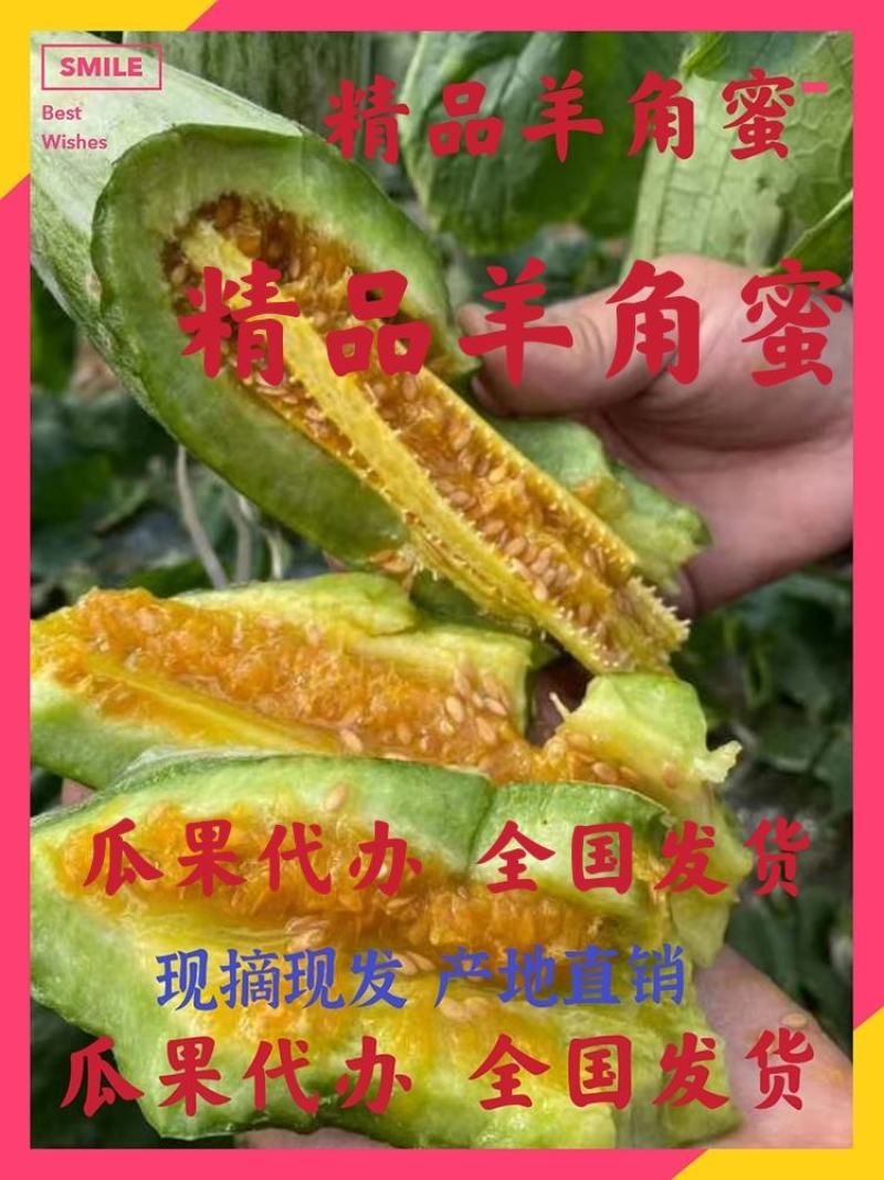 【有好货】山东羊角蜜甜瓜产地一手货源，量大从优现摘现装