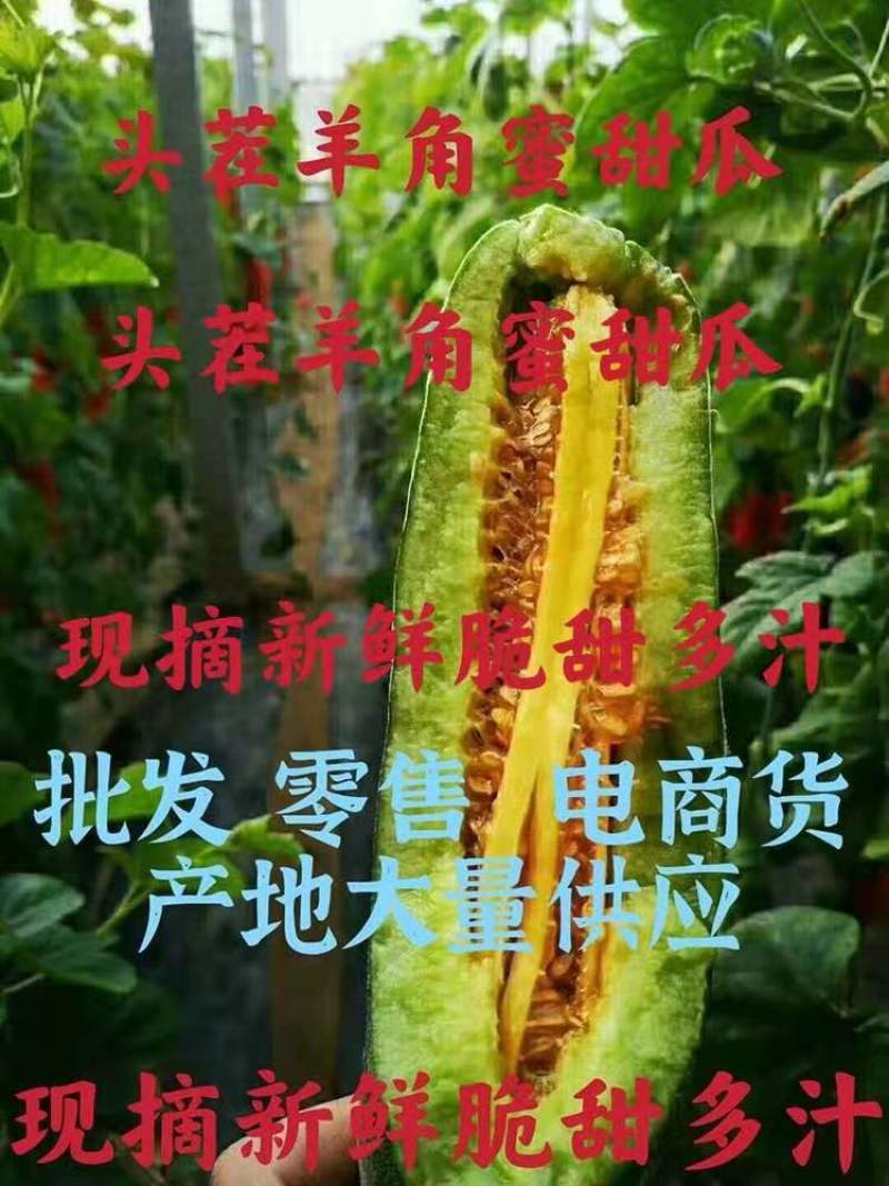 精品羊角蜜，产地直发中口感脆甜，包装小工齐全无中间商差价