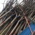 精品紫薇紫薇3-20公分基地之销看货打号