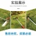 多功能镐头全钢锄头家用耙子挖土开荒种菜神器除草起垄可伸缩