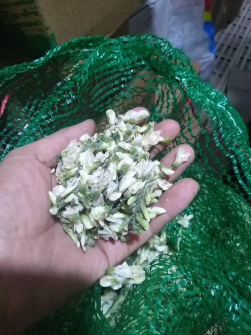 槐花，洋槐花，小花，无杂，产地直供，量大从优！可一件代发