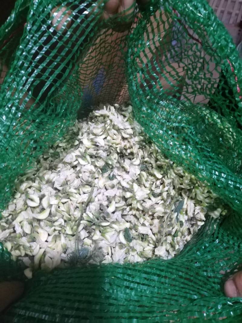 槐花，洋槐花，小花，无杂，产地直供，量大从优！可一件代发