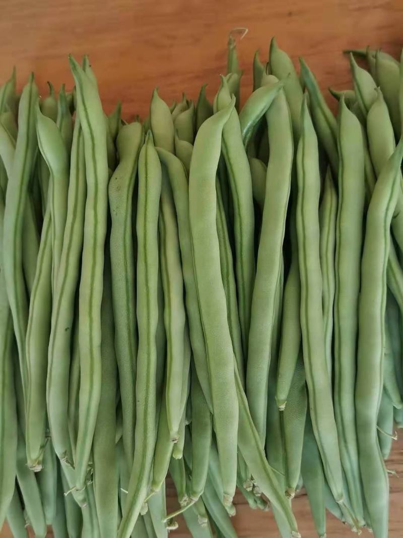 四季豆角，精品四季豆角，现摘现发，产地直供，可发全国
