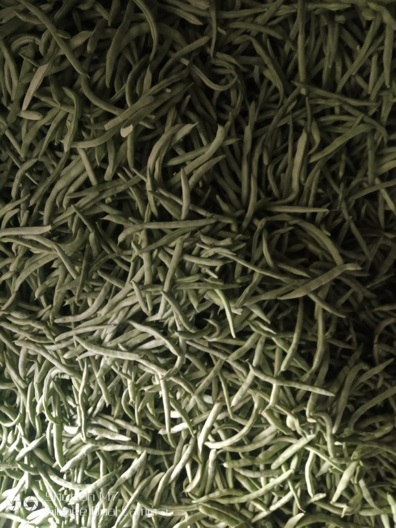 四季豆角，精品四季豆角，现摘现发，产地直供，可发全国