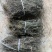 云南野生白花蛇舌草纯野生货100斤包邮