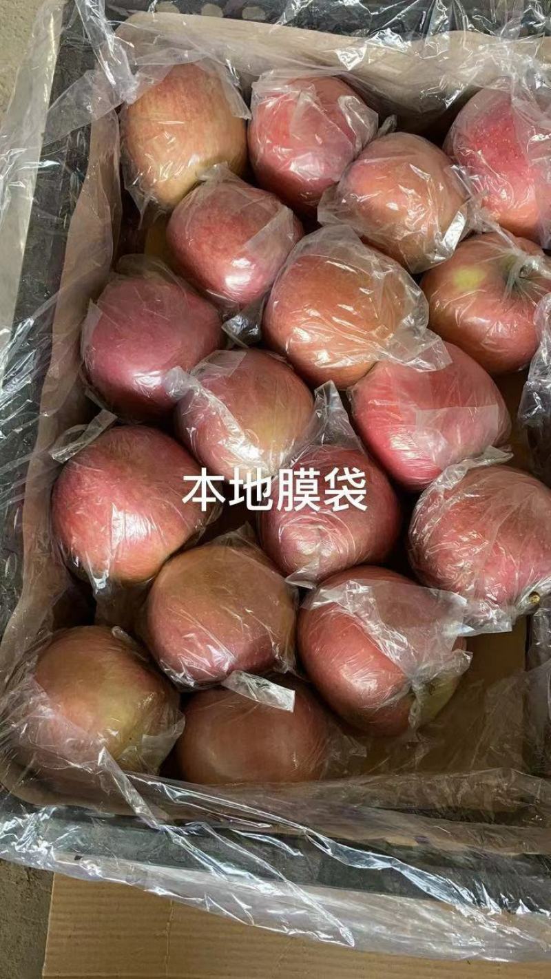 红富士苹果75mm以上膜袋新鲜上市，小黑框，大铁框