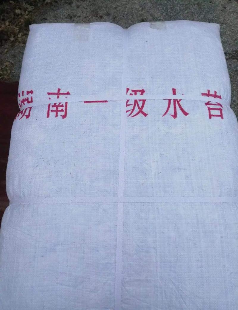 优质，水草，水苔，，
