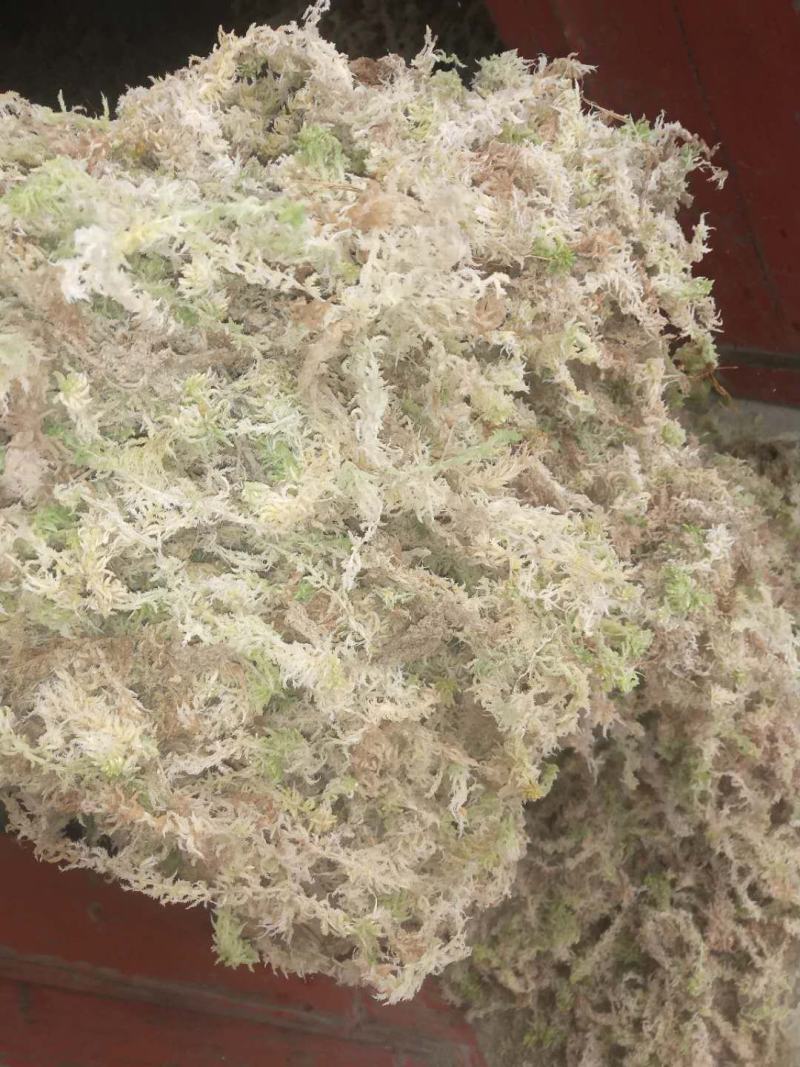 优质，水草，水苔，，