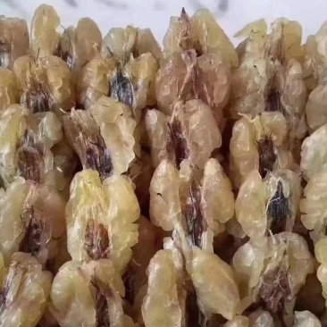 长白山林蛙油，东北蛤蟆油，《支持到货验收》质美价优