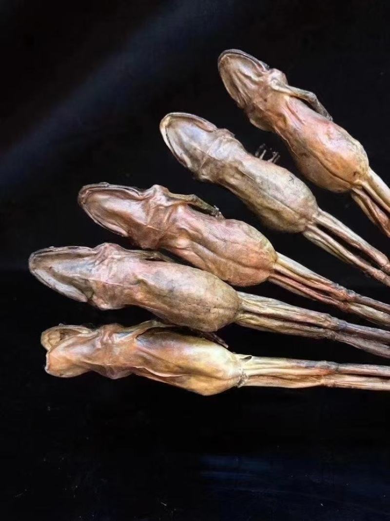 长白山林蛙油，东北蛤蟆油，《支持到货验收》质美价优