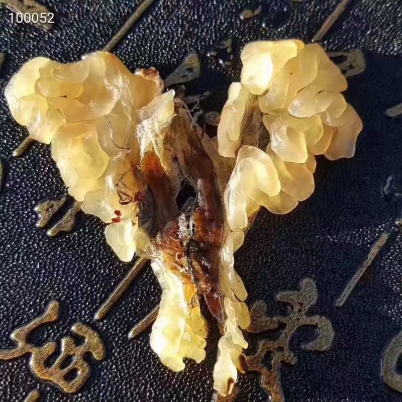 长白山林蛙油，东北蛤蟆油，《支持到货验收》质美价优