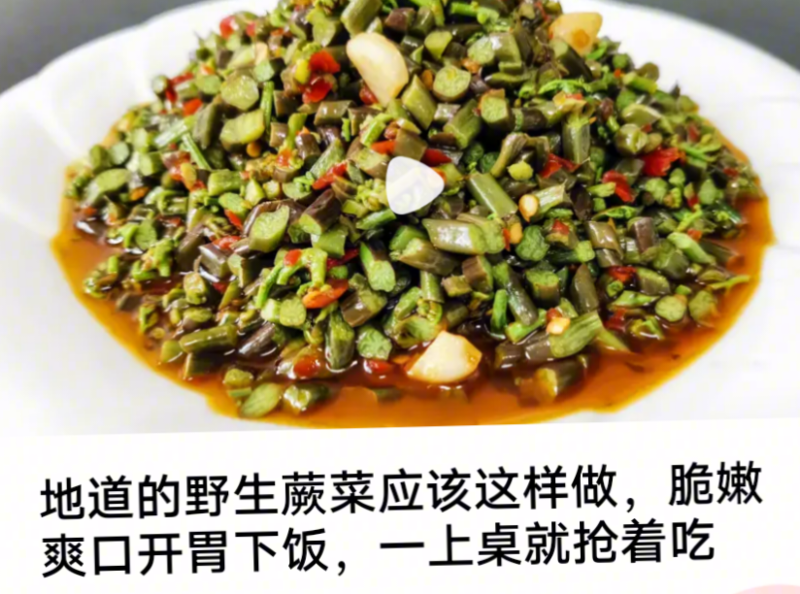 贵州特产水蕨菜农家特质腌菜老坛菜野菜腌酸菜山蕨菜2斤包邮