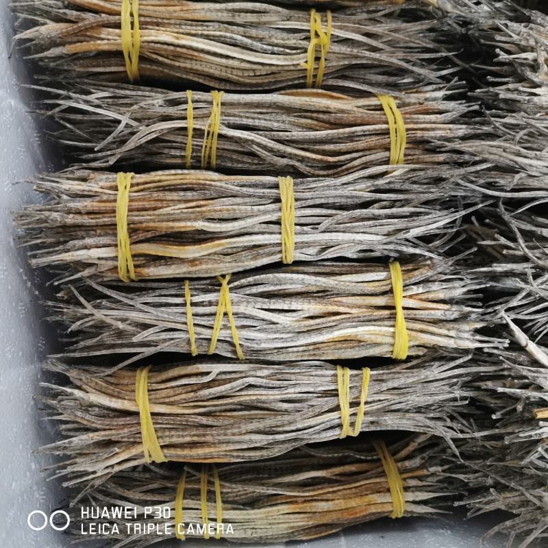 海龙海龙干小海龙长15-20公分一手货源有大货
